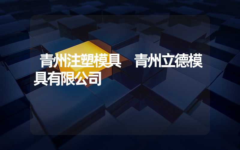 青州注塑模具 青州立德模具有限公司